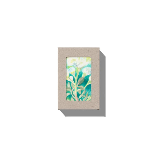 Botnia CLARITY OIL